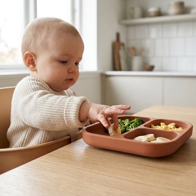 Assiette bébé ventouse pratique 