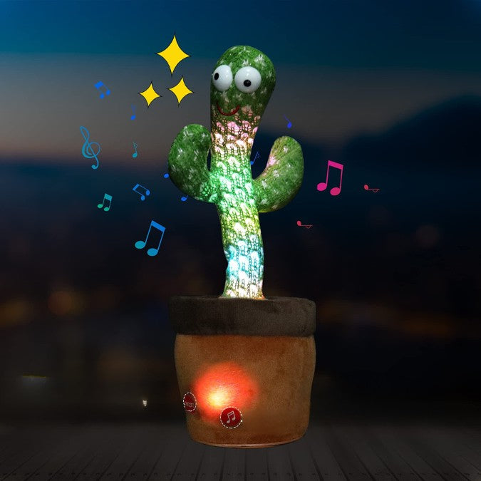 cactus-dansant-nocturne