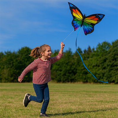 Cerf volant émerveille