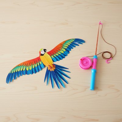 Cerf volant enfant adopte