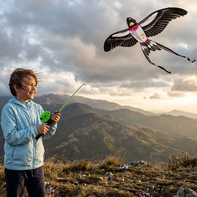 Cerf volant enfant attirant 
