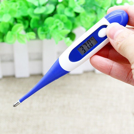 Thermomètre digital orales